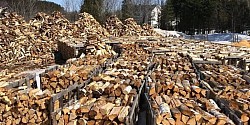 10m³ BIRKEHOLZ 450€